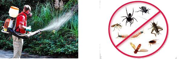 disinfestazione