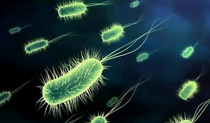 disinfezione